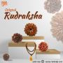 Rudraksha, hub of benefits | check Price Online