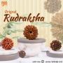 Find Your Perfect Rudraksha at affordable Online Prices