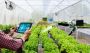Buy Greenhouse Software Buy Greenhouse Software