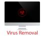 Securing Your System: Virus Removal Services in Bangalore