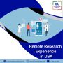 Remote Research Experience in USA