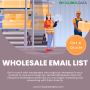 Buy 100% Verified Wholesale Mailing List