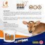 Colostrum for new-born calves - Reduce mortality in calves