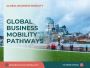 UK Global Business Mobility routes consultant in India