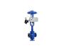 Control Valve Prices in the Indian Market