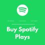 Buy Real and Cheap Spotify Plays in Chicago