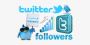 Buy Real and Cheap Twitter Followers