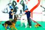 Best Dog Daycare Services in Dubai for Happy Pups