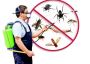 Looking for reliable pest control Independence, MO?