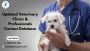 100% Opt-in Contacts of Veterinarians in your Targeted Area