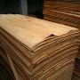 Wood veneer Manufacturers in India