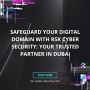 Safeguard Your Digital Domain with RSK Cyber Security