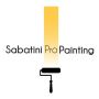 Sabatini Pro Painting