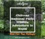 Chitwan National Park: Wildlife Adventure in Nepal