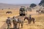 African Safari Tour in Tanzania