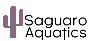 Private Swimming Lessons Near Me – Saguaro Aquatics
