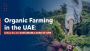 Organic Farming in UAE