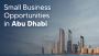Business Opportunities in Abu Dhabi