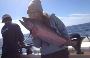 BC Outdoor Fishing Charters - Salmon Eye Charters