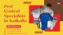 Fast, Affordable & Effective Pest Control in Kalkallo Fast, Affordable & Effective Pest Control in Kalkallo