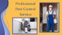 Rye’s Trusted Pest Control Experts – Call Anytime Rye’s Trusted Pest Control Experts – Call Anytime