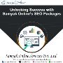 SEO Packages for Small Businesses with Samyak Online