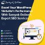 Samyak Online: Your One-Stop WordPress SEO Experts