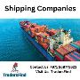 Discover Top-Notch Shipping Companies in UAE on TradersFind
