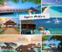 Discover Paradise: Maldives Tour Packages Tailored to Your D