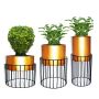 Metal Wire Based Planter Stand With Metal Pot- Set Of 3