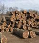 Walnut Wood Suppliers
