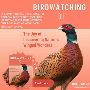 Birdwatching 101 - a book by Dashiel Neimark