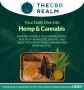 The CBD Realm: Your Daily Dive into Hemp & Cannabis