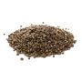CBD Auto Flower Seeds in Thailand