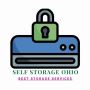 Maximising Space and Security: The Advantage of Self Storage