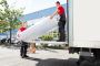 Top Intercity Movers in New Zealand