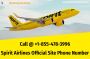Spirit Airlines Official Site Phone Number