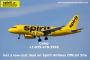 Get a low-cost deal on Spirit Airlines Official Site