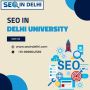 SEO in Delhi University