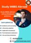 Best MBBS abroad consultants for Indian students