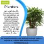 Buy Pots and Planters Online | Illuminated Planters - Sereno