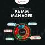 Empower Your Investments with a Trusted PAMM Manager