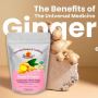 Benefits of Ginger Powder