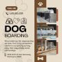 Dog Boarding Services in Washington