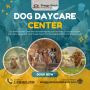Shaggy Shack Pet Resort: Dog Daycare Services in Graham