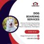 Dog Boarding Services in Washington for Happy Pups!