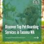 Discover Top Pet Boarding Services in Tacoma WA
