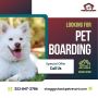 Looking for Pet Boarding Services in Tacoma?