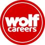 Salesforce Business Analyst Chicago