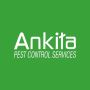 pest control for bed bugs in Thane - Ankita Pest Control